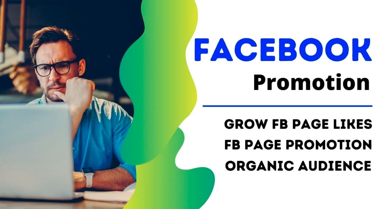 I will do organic promotion of your facebook page