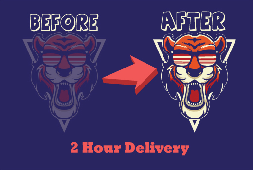 I will vector tracing image or logo, redraw, vectorize image, convert to vector