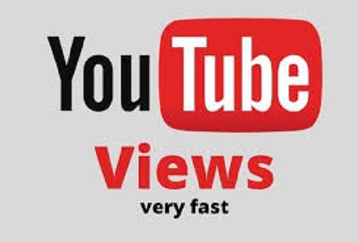 I will do fast usa youtube video promotion for organic growth with seo