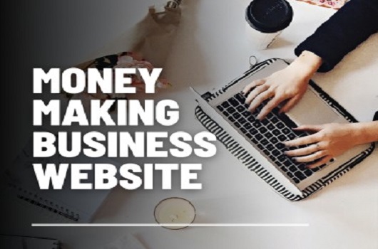 I will create profitable online businesses