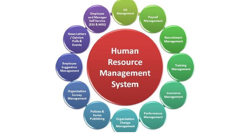 Expert HR Management Software Setup and Development | HR Solutions, Payroll, Recruitment