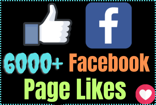 Will get 6000+ Facebook page Likes and Followers