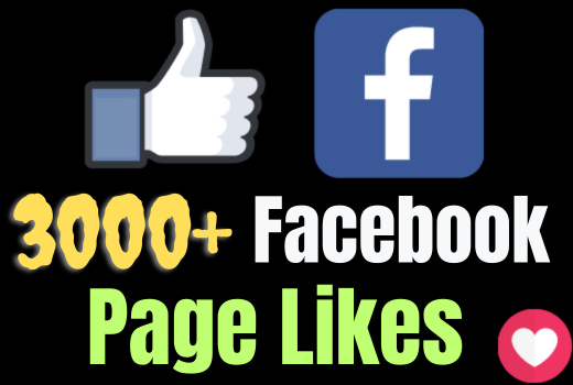 Will get 3000+ Facebook page Likes and Followers
