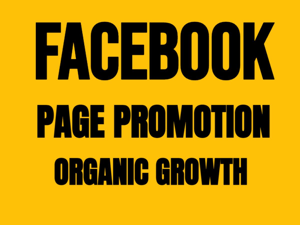I promote and market Facebook pages to help them grow organically
