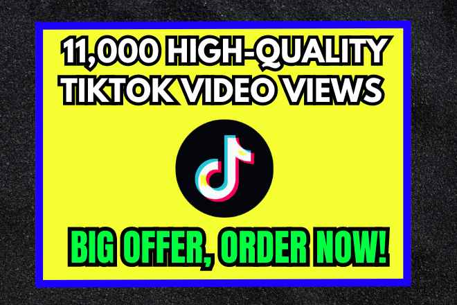 Get 11,000 TikTok Video Views By Promotion