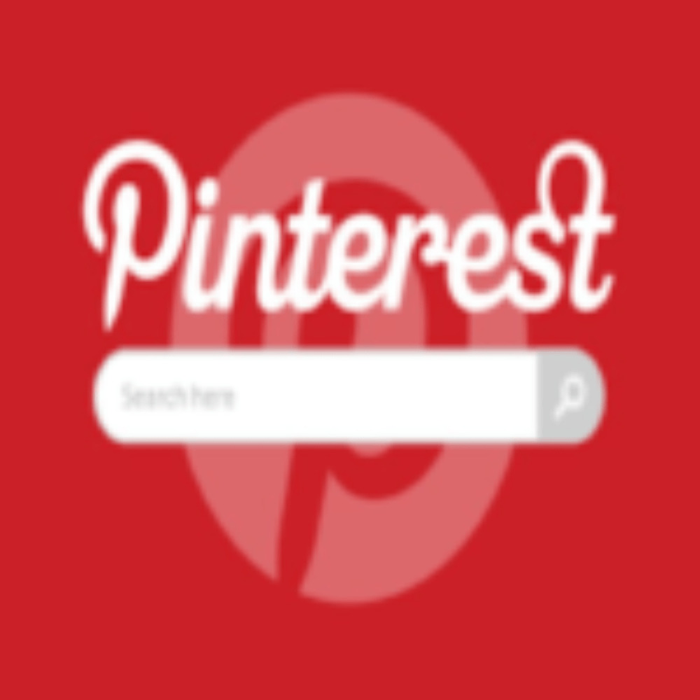 I Will give you 1500+ high-quality Pinterest followers  or Repin non-drop and real world wide followers