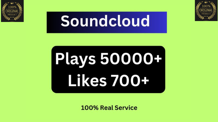 9503Send 5000+ Soundcloud Organic Followers 100% Real Service