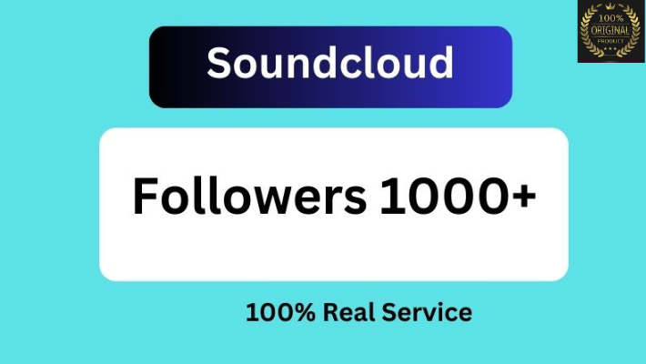 9505TikTok 2000+ Organic Followers 100% Real Service