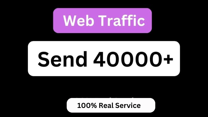 947010000+ Google traffic 100% real and lifetime guaranteed