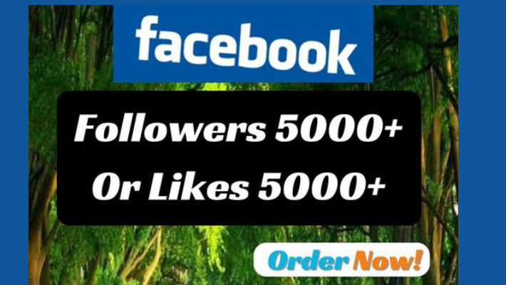 114385000 INSTAGRAM followers with 5000 likes GUARANTEED