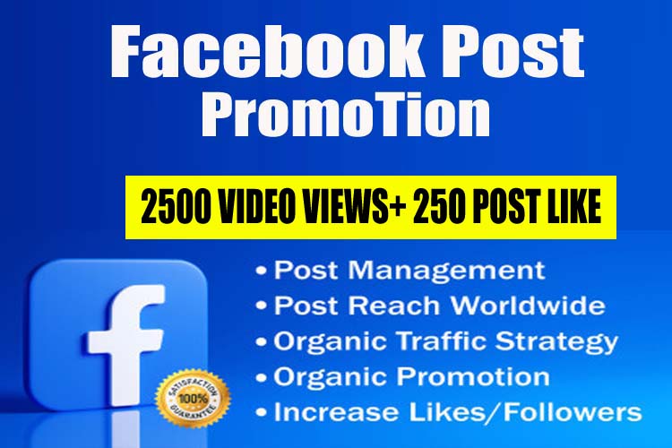 11263Get 500+ HQ Tiktok Followers & 5,000 Video Views, Real active Quality followers non drop.