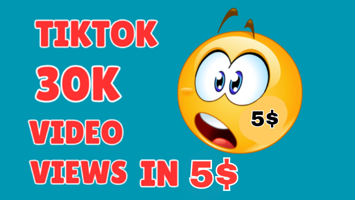 5456Provide 1000 tiktok followers real, active user, high quality ,nondrop, lifetime guaranteed