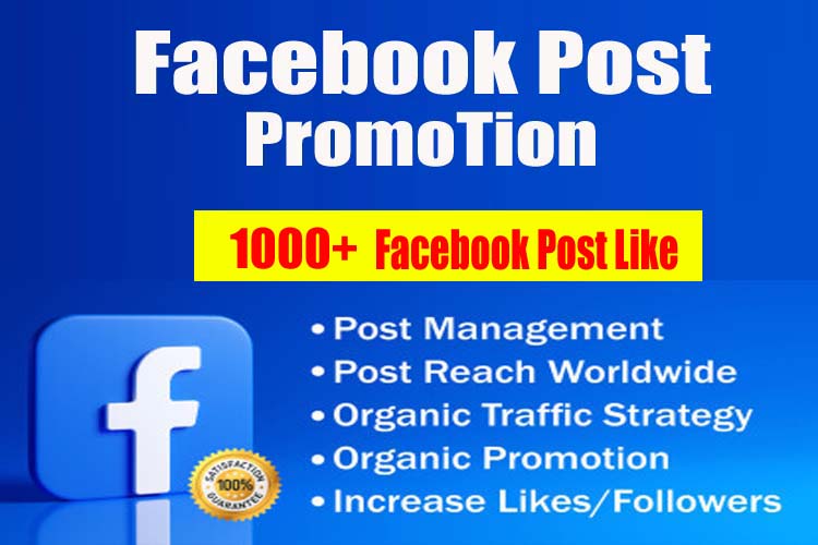 112615000 Organic and Non-drop Facebook Page Followers.