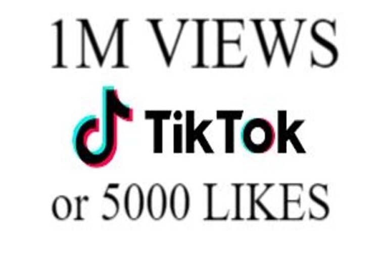 5759I will organically grow your TikTok account