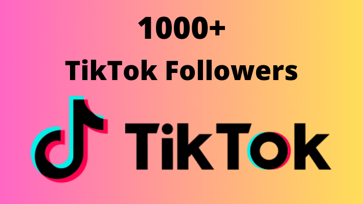 12520I will provide 3k+ real TikTok Followers || 100% original