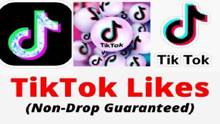 5987provide 4000 TikTok Followers with a Money-back guarantee