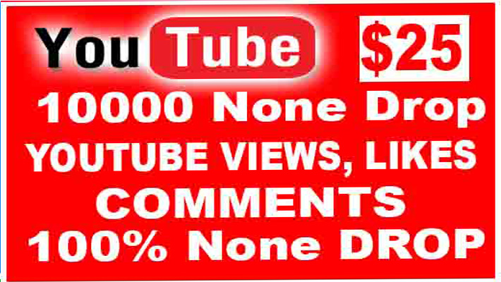 11907Organic 5000 Youtube Views+ 1000 Likes+ 10 Comments | Best Sell