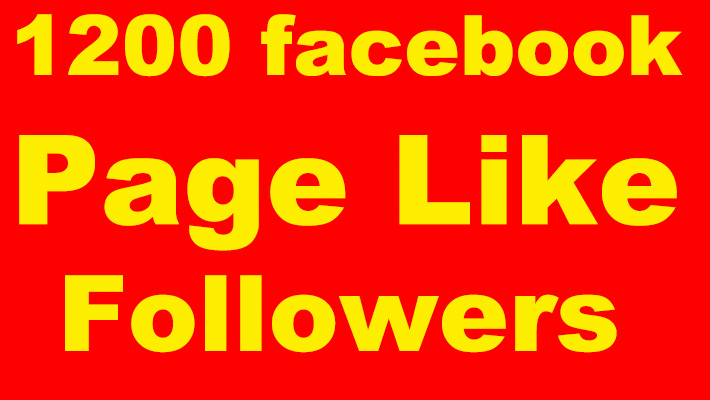 9704Add 5000 facebook page like+ 5000 followers to page