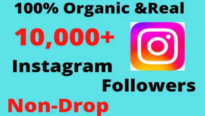 6551Get 5000 Instagram Profile Follower