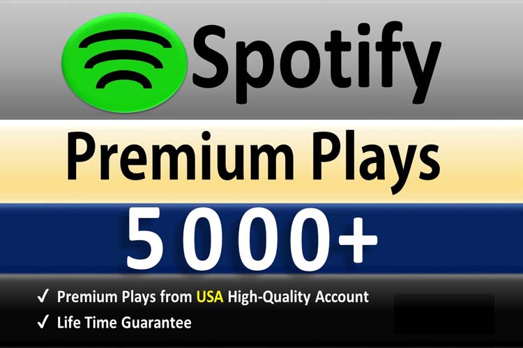 5681I will do spotify music promotion, spotify promotion via spotify ads strategy to 100X Streams