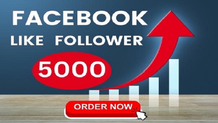 65965000 Organic and Non-drop Facebook Page Followers.