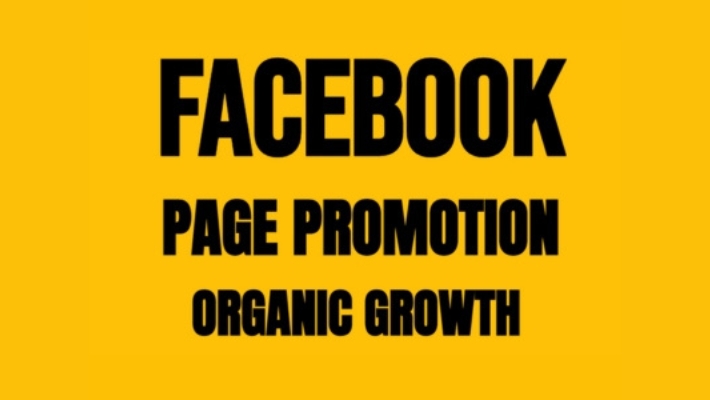 11700I will grow fast organic x Twitter growth, marketing, Twitter followers, and promotion