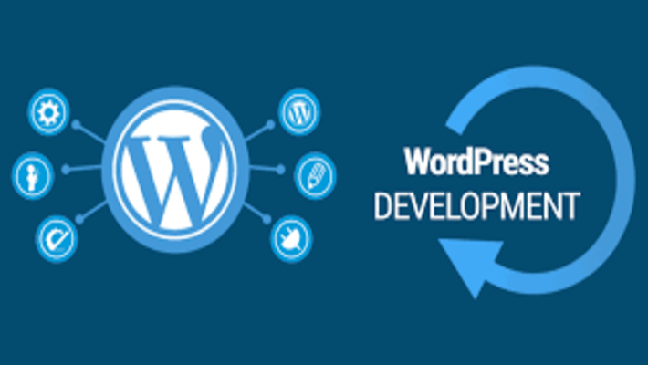 6716WordPress Solution