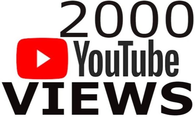 9820I will do organic youtube video promotion