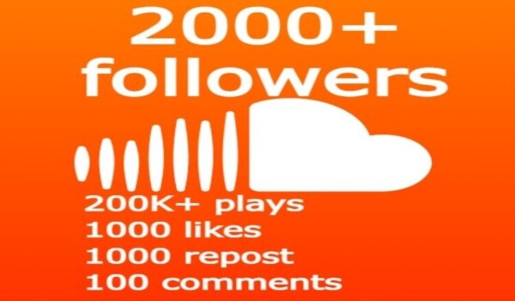 11081i send you 2500+ SoundCloud followers