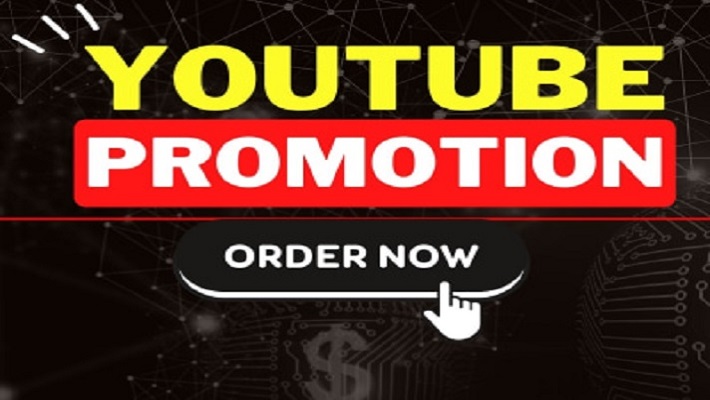 12374I will do Organic USA YouTube Video Promotion to get 4000hrs in Just 3 Days