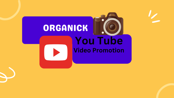 17167I will do super fast organic YouTube video promotion