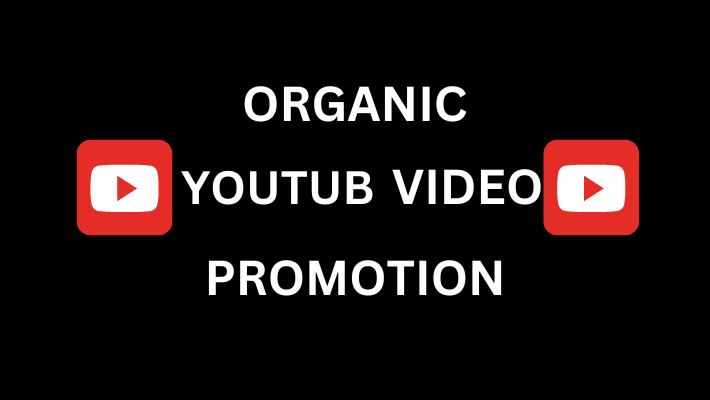 13773I will do organic youtube video promotion for top channel growth