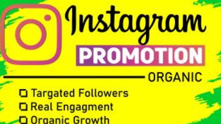 13772I will do super fast organic instagram growth to grow organic followers