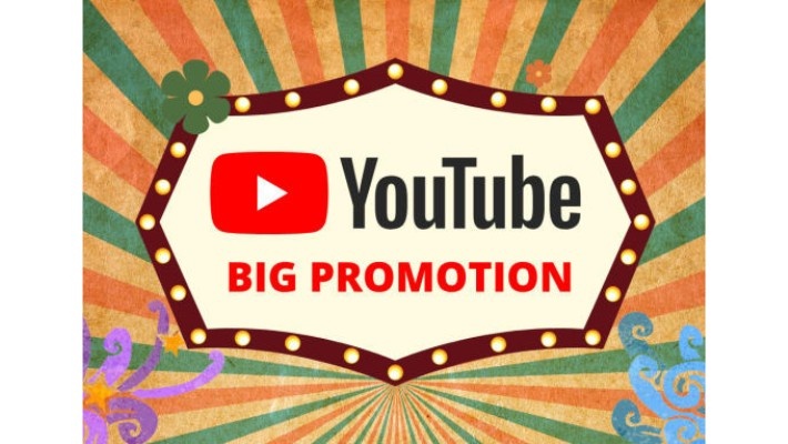 15773I will do super fast organic YouTube video promotion