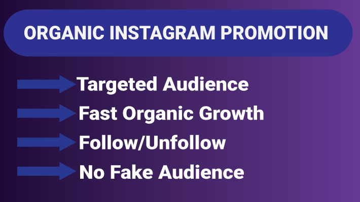 16961Fast Organic Instagram Promotion and Growth