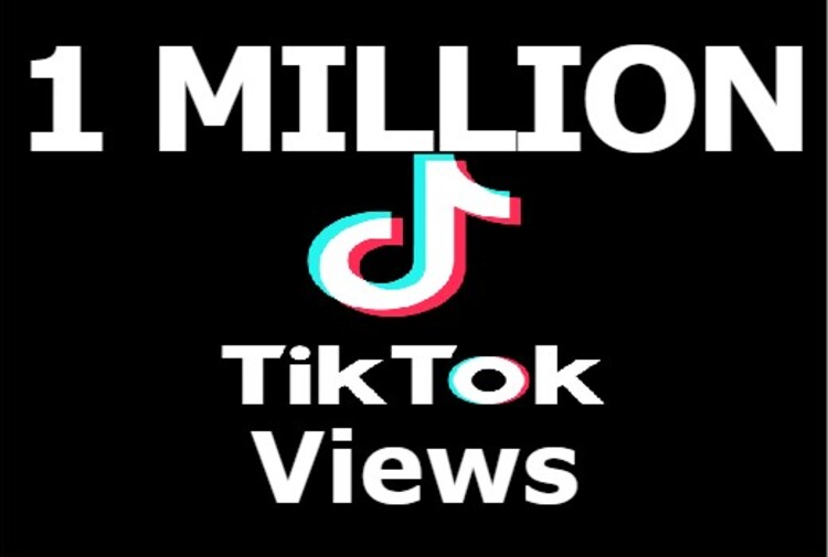 13479I will organically grow your TikTok account