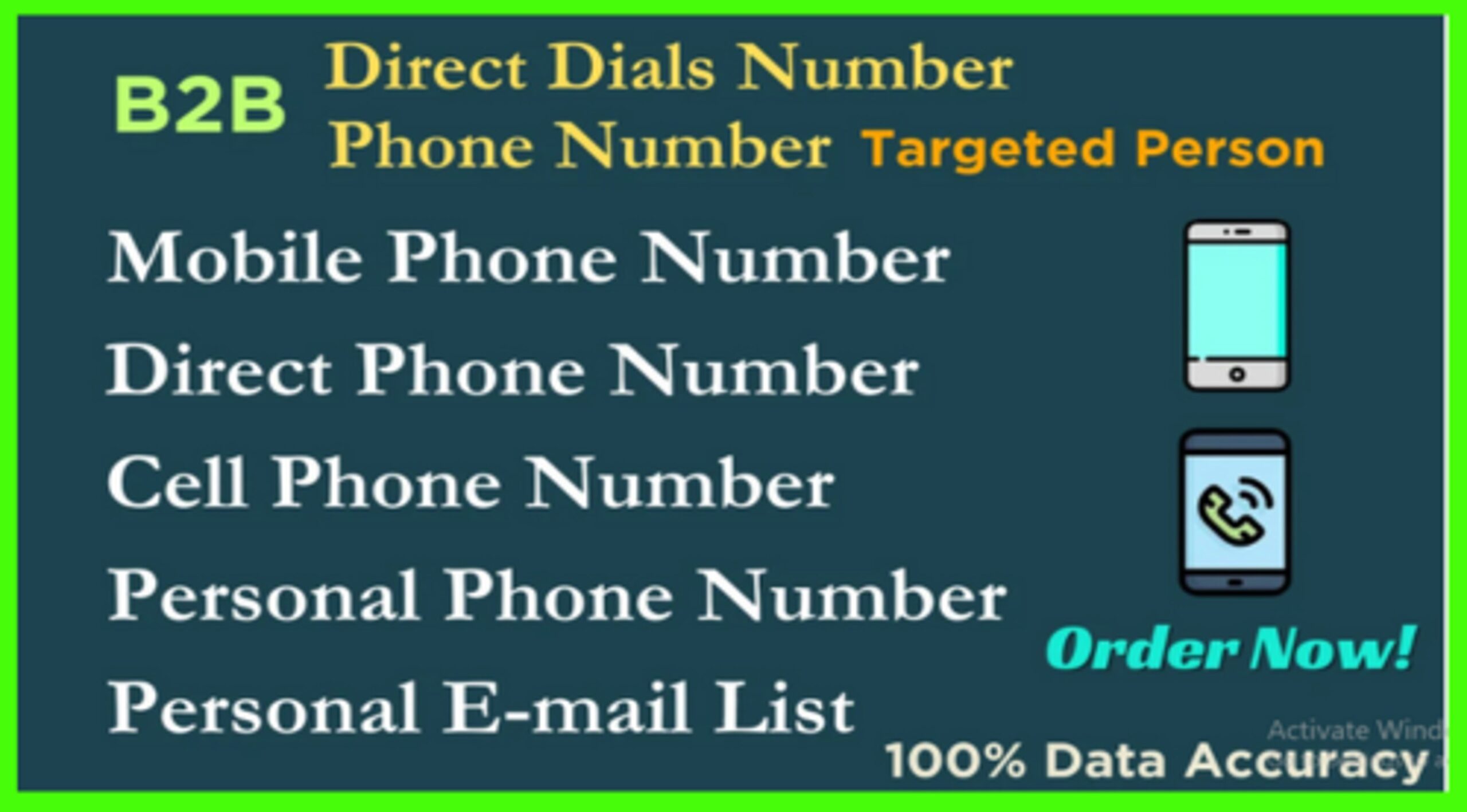 46571I will do b2b email personal direct mobile phone number by any filter