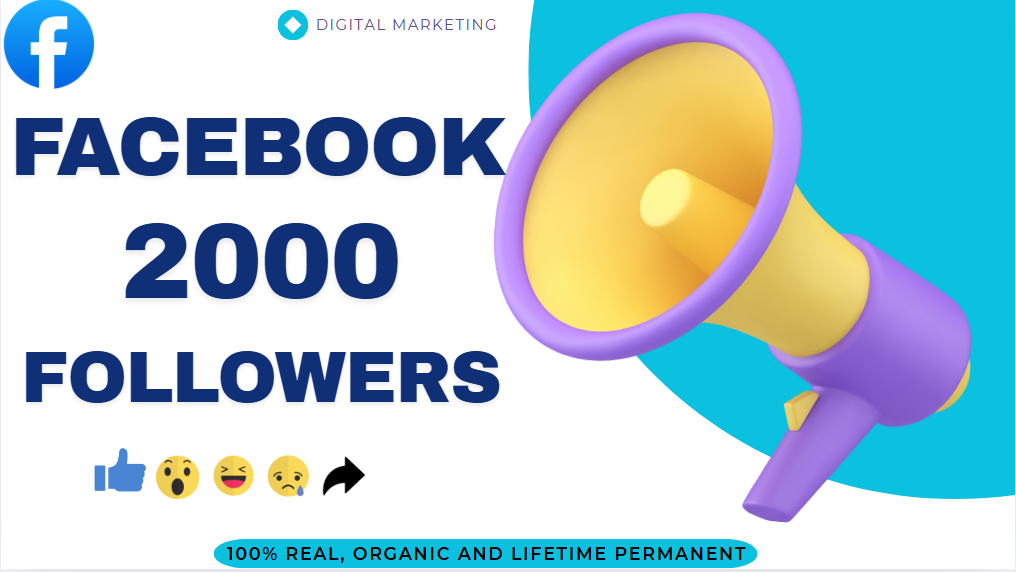 38688I will Provide 1000 Facebook Followers,100%real,Organic and lifetime permanent.