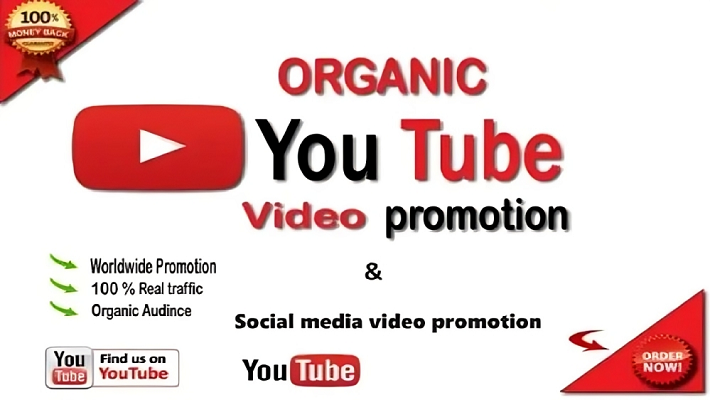 60146I will add 15000+ REAL AND non drop YouTube video views and 5000 Likes Free.