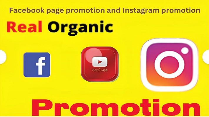 63161I will do super fast organic facebook page promotion and instagram promotion
