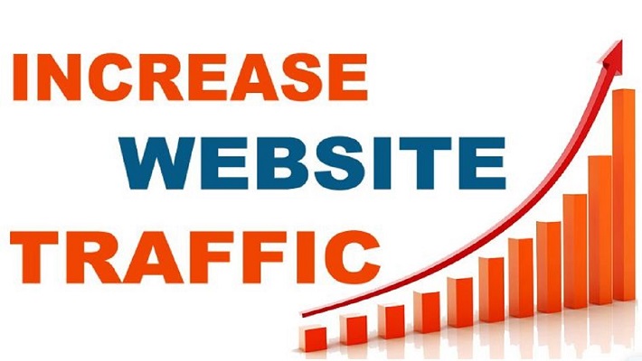 63667I will provide targeted organic web traffic