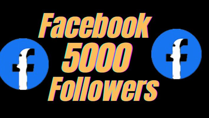 74270I will do promotion your Instagram account