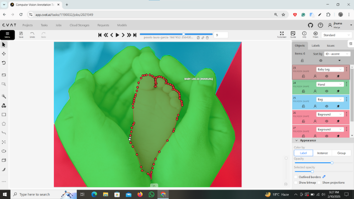 89988Annotation Specialist | High quality bounding box up your images for AI training | 50 Boxes