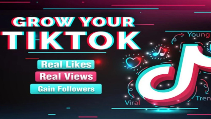114901You will get TikTok marketing expert for random promotion, tiktok followers, view, like