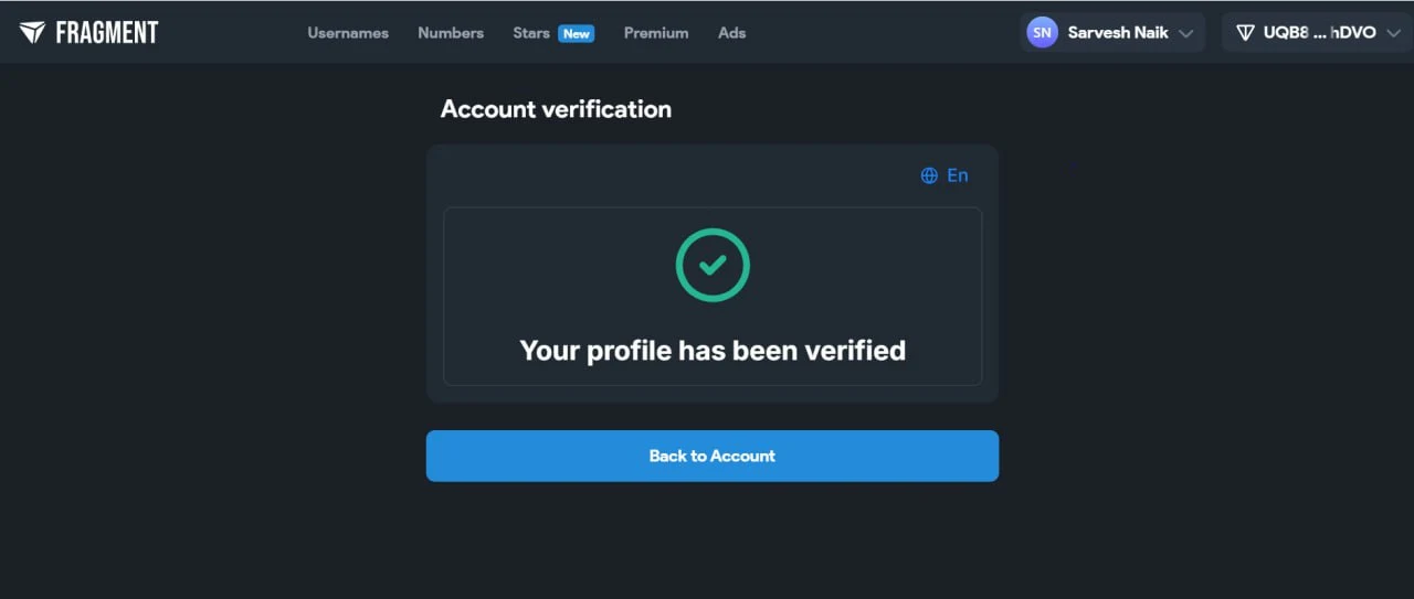 123827setup banner ads to reach 700,000 impressions and get 200 investors to your project, telegram promotion