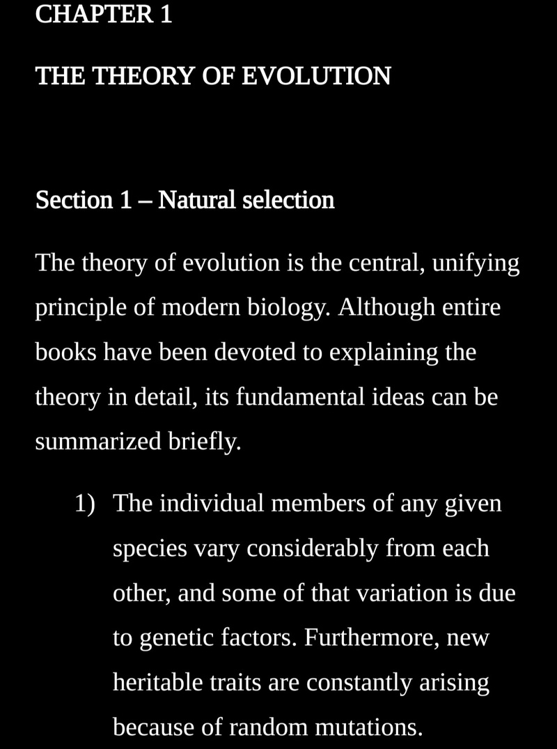 197651Ink and Echoes