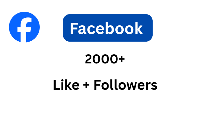 195651You will get 500+ USA Organic Lifetime Guaranteed Facebook Page Likes or Followers