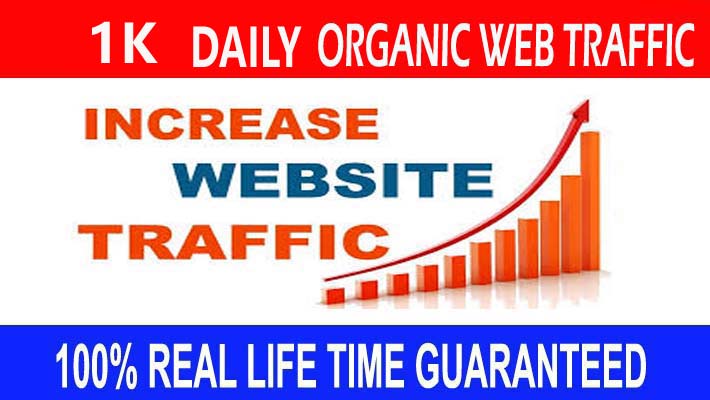 197447Daily 1K+ Organic  web traffic for grow your website for 30 Days