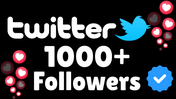 197958Lifetime Guaranteed Twitter Followers