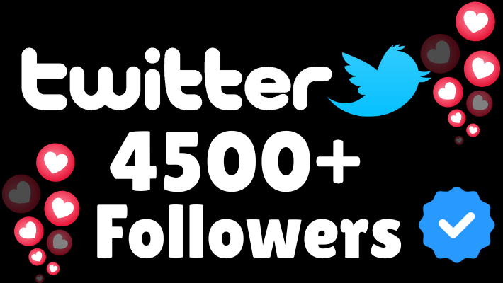 198456Lifetime Guaranteed Twitter Followers